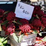 Почему кондиционер с функцией автоматической очистки важен для цветочного магазина image_404.jpg